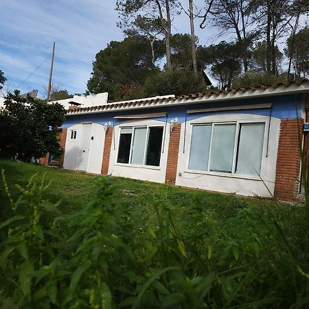 Raconet Azul - Circuito Cataluna Vallromanes Exterior foto